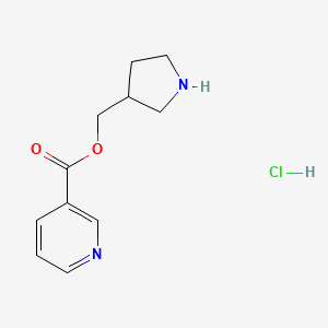 molecular formula C11H15ClN2O2 B1394760 3-Pyrrolidinylmethyl nicotinate hydrochloride CAS No. 1220021-63-5