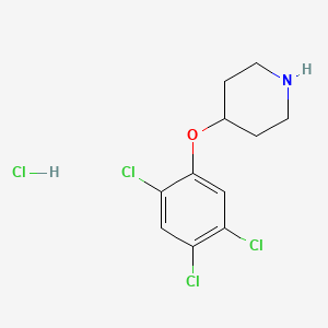 molecular formula C11H13Cl4NO B1394761 4-(2,4,5-三氯苯氧基)哌啶盐酸盐 CAS No. 1219981-42-6
