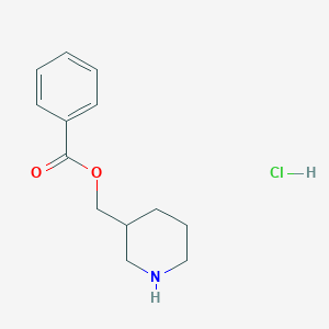 molecular formula C13H18ClNO2 B1394763 3-哌啶基甲基苯甲酸酯盐酸盐 CAS No. 1219972-66-3