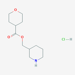 molecular formula C12H22ClNO3 B1394764 3-Piperidinylmethyl tetrahydro-2H-pyran-4-carboxylate hydrochloride CAS No. 1220020-91-6