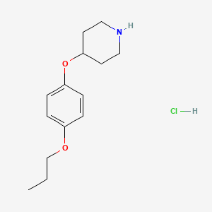 molecular formula C14H22ClNO2 B1394766 盐酸4-(4-丙氧基苯氧基)哌啶 CAS No. 1219961-35-9