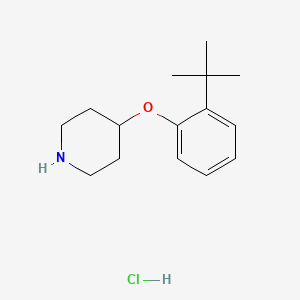 molecular formula C15H24ClNO B1394781 4-[2-(叔丁基)苯氧基]哌啶盐酸盐 CAS No. 1146960-29-3