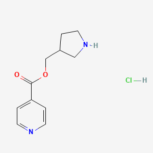 molecular formula C11H15ClN2O2 B1394787 3-吡咯烷基甲基异烟酸盐酸盐 CAS No. 1220020-81-4