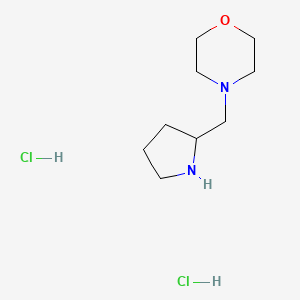 molecular formula C9H20Cl2N2O B1394790 4-(2-吡咯烷基甲基)吗啉二盐酸盐 CAS No. 1220035-93-7