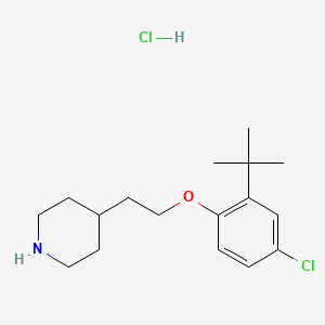 B1394792 4-{2-[2-(Tert-butyl)-4-chlorophenoxy]-ethyl}piperidine hydrochloride CAS No. 1220030-83-0