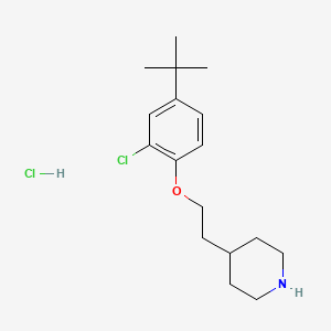 molecular formula C17H27Cl2NO B1394794 4-{2-[4-(叔丁基)-2-氯苯氧基]-乙基}哌啶盐酸盐 CAS No. 1220033-96-4