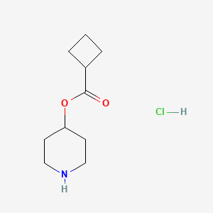 molecular formula C10H18ClNO2 B1394797 4-哌啶基环丁烷甲酸盐酸盐 CAS No. 1219948-61-4