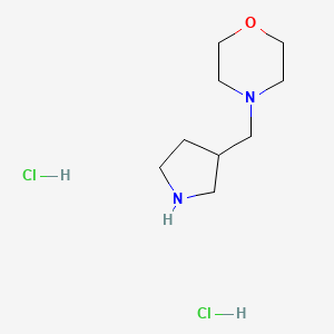 molecular formula C9H20Cl2N2O B1394799 4-(3-吡咯烷基甲基)吗啉二盐酸盐 CAS No. 1220033-16-8