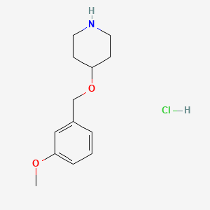 molecular formula C13H20ClNO2 B1394800 4-[(3-甲氧基苄基)氧基]哌啶盐酸盐 CAS No. 1220036-54-3