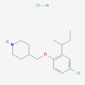 molecular formula C16H25Cl2NO B1394806 4-{[2-(正丁基)-4-氯苯氧基]-甲基}哌啶盐酸盐 CAS No. 1220032-90-5