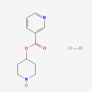 molecular formula C11H15ClN2O2 B1394807 4-哌啶基烟酸盐酸盐 CAS No. 1219948-64-7