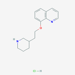 molecular formula C16H21ClN2O B1394818 8-[2-(3-哌啶基)乙氧基]喹啉盐酸盐 CAS No. 1220029-52-6