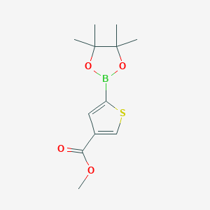 molecular formula C12H17BO4S B1394851 5-(4,4,5,5-四甲基-1,3,2-二氧杂硼环-2-基)噻吩-3-甲酸甲酯 CAS No. 1040281-86-4