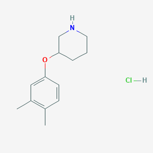 3-(3,4-Dimethylphenoxy)piperidine hydrochloride