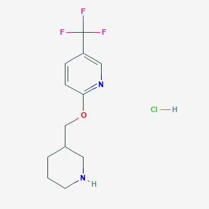 molecular formula C12H16ClF3N2O B1394996 2-(3-Piperidinylmethoxy)-5-(trifluoromethyl)-pyridine hydrochloride CAS No. 1220028-64-7