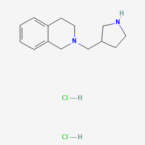 molecular formula C14H22Cl2N2 B1394997 2-(3-Pyrrolidinylmethyl)-1,2,3,4-tetrahydroisoquinoline dihydrochloride CAS No. 1220021-26-0