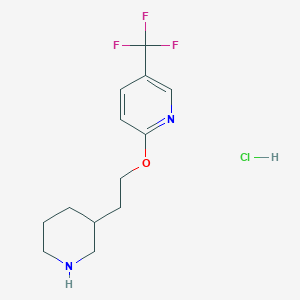molecular formula C13H18ClF3N2O B1395053 2-[2-(3-Piperidinyl)ethoxy]-5-(trifluoromethyl)-pyridine hydrochloride CAS No. 1219967-33-5