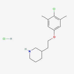 molecular formula C15H23Cl2NO B1395068 3-[2-(4-Chloro-3,5-dimethylphenoxy)ethyl]-piperidine hydrochloride CAS No. 1219981-36-8