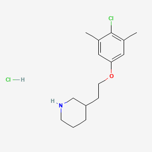 molecular formula C15H23Cl2NO B1395068 盐酸3-[2-(4-氯-3,5-二甲基苯氧基)乙基]-哌啶 CAS No. 1219981-36-8