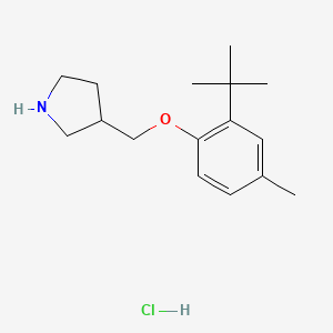 molecular formula C16H26ClNO B1395070 3-{[2-(Tert-butyl)-4-methylphenoxy]-methyl}pyrrolidine hydrochloride CAS No. 1220016-85-2