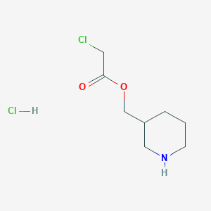 molecular formula C8H15Cl2NO2 B1395072 盐酸3-哌啶基甲基2-氯乙酸酯 CAS No. 1220031-68-4