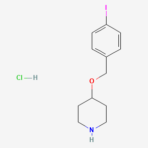 molecular formula C12H17ClINO B1395119 4-((4-碘苄基)氧基)哌啶盐酸盐 CAS No. 1220034-88-7