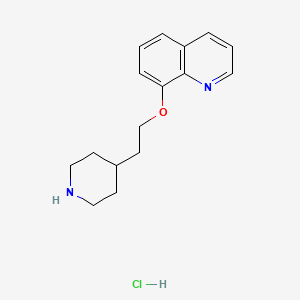 molecular formula C16H21ClN2O B1395154 8-[2-(4-哌啶基)乙氧基]喹啉盐酸盐 CAS No. 1219982-66-7