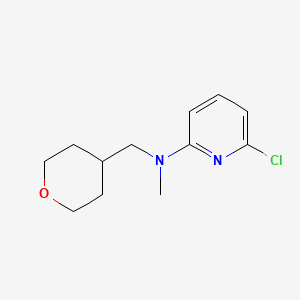 molecular formula C12H17ClN2O B1395168 6-氯-N-甲基-N-(四氢-2H-吡喃-4-基甲基)-2-吡啶胺 CAS No. 1220017-82-2