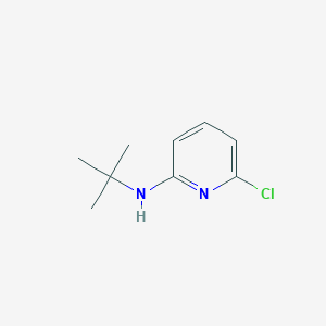 molecular formula C9H13ClN2 B1395206 N-(叔丁基)-6-氯-2-吡啶胺 CAS No. 791095-83-5