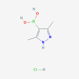 molecular formula C5H10BClN2O2 B1395219 (3,5-二甲基-1H-吡唑-4-基)硼酸盐酸盐 CAS No. 1162262-39-6