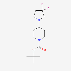 molecular formula C14H24F2N2O2 B1395289 tert-ブチル 4-(3,3-ジフルオロピロリジン-1-イル)ピペリジン-1-カルボン酸塩 CAS No. 877125-71-8