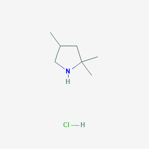 molecular formula C7H16ClN B1395346 2,2,4-Trimethylpyrrolidine hydrochloride CAS No. 1897428-40-8