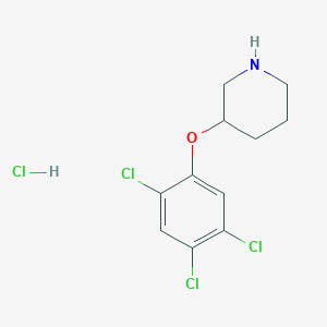 molecular formula C11H13Cl4NO B1395382 3-(2,4,5-Trichlorophenoxy)piperidine hydrochloride CAS No. 1220018-01-8
