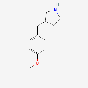 molecular formula C13H19NO B1395385 3-(4-Ethoxybenzyl)pyrrolidine CAS No. 1219977-27-1