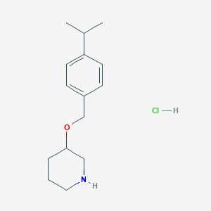 molecular formula C15H24ClNO B1395420 3-[(4-Isopropylbenzyl)oxy]piperidine hydrochloride CAS No. 1220033-15-7