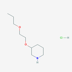 molecular formula C10H22ClNO2 B1395426 3-(2-Propoxyethoxy)piperidine hydrochloride CAS No. 1220017-94-6