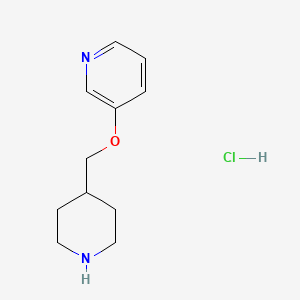 B1395480 3-(4-Piperidinylmethoxy)pyridine hydrochloride CAS No. 1219976-35-8