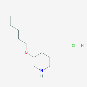 molecular formula C10H22ClNO B1395483 3-(Pentyloxy)piperidine hydrochloride CAS No. 1220021-68-0