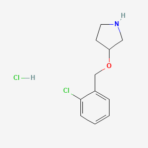 molecular formula C11H15Cl2NO B1395485 3-[(2-氯苄基)氧基]吡咯烷盐酸盐 CAS No. 1219980-87-6