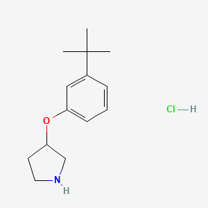 B1395496 3-[3-(Tert-butyl)phenoxy]pyrrolidine hydrochloride CAS No. 1220037-34-2