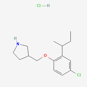 B1395498 3-{[2-(Sec-butyl)-4-chlorophenoxy]-methyl}pyrrolidine hydrochloride CAS No. 1220030-95-4