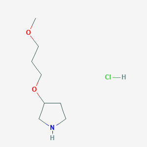 molecular formula C8H18ClNO2 B1395501 3-(3-Methoxypropoxy)pyrrolidine hydrochloride CAS No. 1220017-87-7
