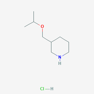 B1395506 3-(Isopropoxymethyl)piperidine hydrochloride CAS No. 1211462-12-2