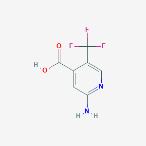 molecular formula C7H5F3N2O2 B1395665 2-Amino-5-(trifluoromethyl)isonicotinic acid CAS No. 1227582-08-2