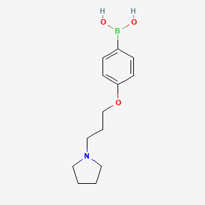 molecular formula C13H20BNO3 B1395828 4-(3-(吡咯烷-1-基)丙氧基)苯硼酸 CAS No. 1003028-33-8