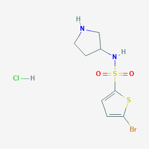 5-bromo-N-(pyrrolidin-3-yl)thiophene-2-sulfonamide hydrochloride