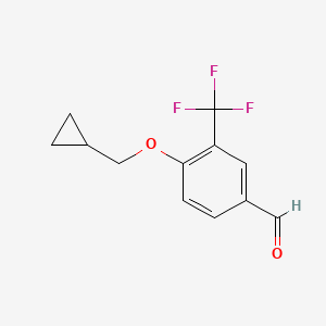 molecular formula C12H11F3O2 B1395950 4-环丙基甲氧基-3-三氟甲基苯甲醛 CAS No. 883529-03-1