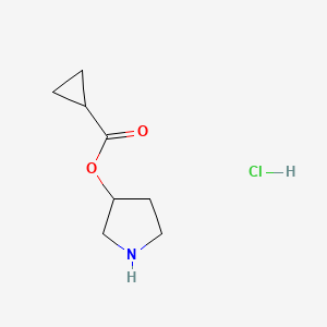 molecular formula C8H14ClNO2 B1396067 3-Pyrrolidinyl cyclopropanecarboxylate hydrochloride CAS No. 1219960-53-8