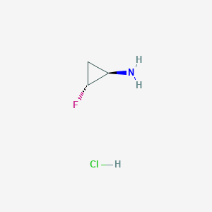 molecular formula C3H7ClFN B1396108 trans-2-Fluorocyclopropanamine hydrochloride CAS No. 143062-85-5