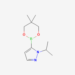 molecular formula C11H19BN2O2 B1396270 5-(5,5-二甲基-1,3,2-二氧杂硼环丁烷-2-基)-1-异丙基-1H-吡唑 CAS No. 1487356-83-1